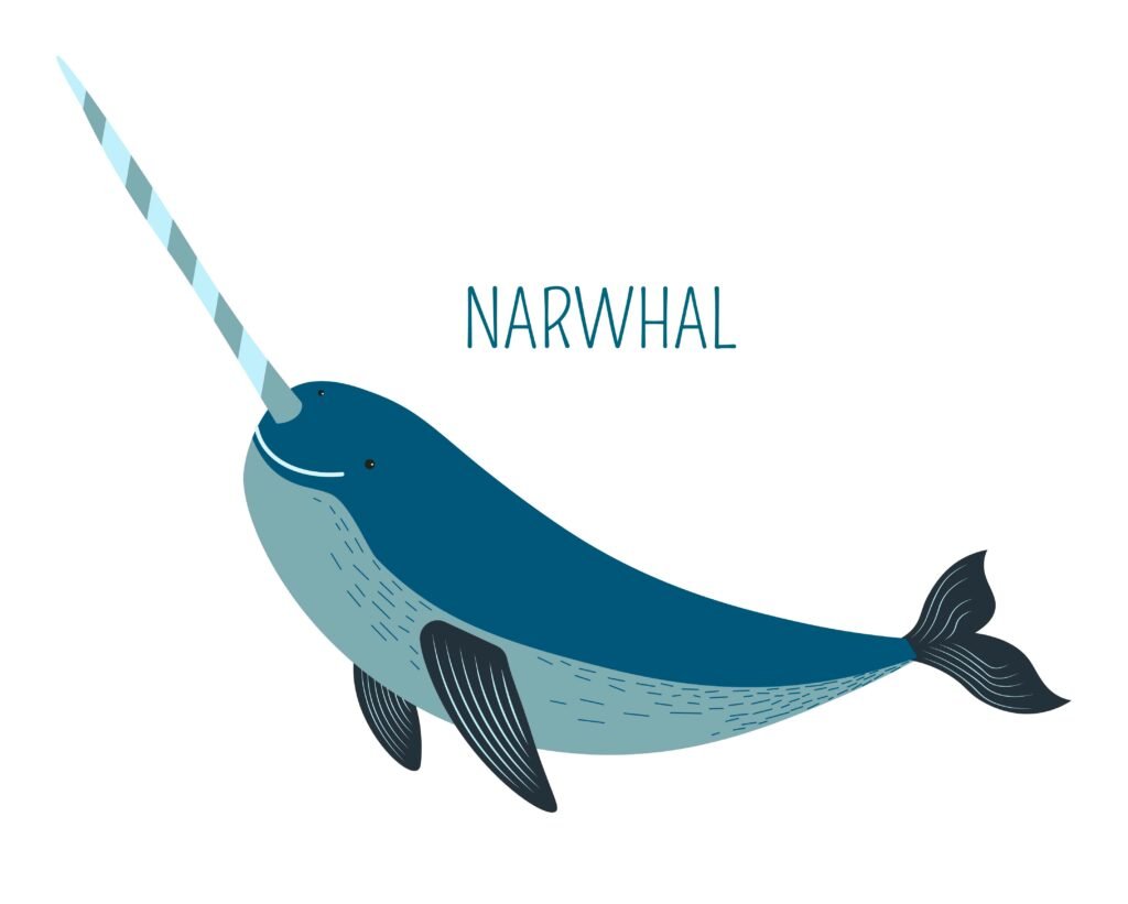 Illustration of a blue narwhal with a long curved tusk, facing left, with the word NARWHAL nearby.